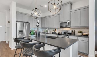 2517 Huxley Mews, Allen, TX 75013