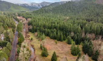 Upper Cow Creek Road, Azalea, OR 97410