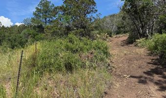 TBD-2 Vine Mesa Ave, Beulah, CO 81023