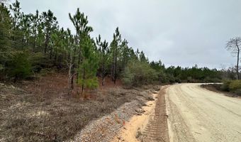 Tract # 6418 Mattox Springs Road Southern Winds Ln, Caryville, FL 32427