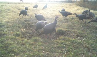 189 Th St, Albia, IA 52531