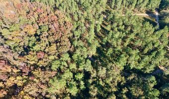 TBD Binnicker Bridge Road, Bamberg, SC 29003