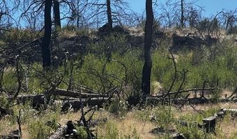 Wren Drive lot 5, Bonanza, OR 97623