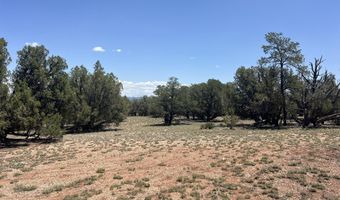 249 W Kings Ranch Rd, Ash Fork, AZ 86320