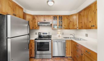 125 E Hyman Ave 1A, Aspen, CO 81611