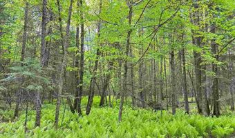 TBD W Shipley Rd, Alborn, MN 55702