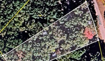 SNOW RD, Big Sandy, TN 38221