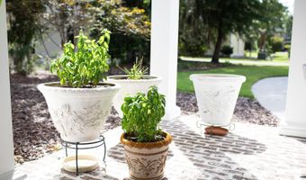 97 Western Trce, Beaufort, SC 29907
