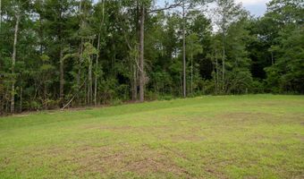 1324 Hornbeam Dr, Baker, FL 32531
