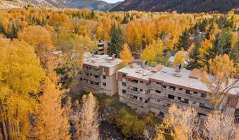 1020 E Hopkins Ave 9, Aspen, CO 81611