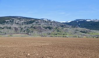 Tbd 10 Ac. STATELINE Road, Alta, WY 83414