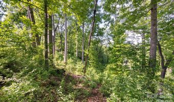 17 Tulip Poplar Trl 30, Asheville, NC 28804