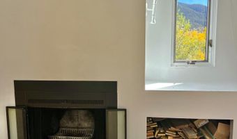 216 E Homestead Dr, Basalt, CO 81621