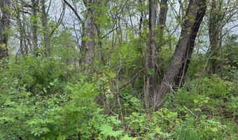Alta Dr, Alderson, WV 24910