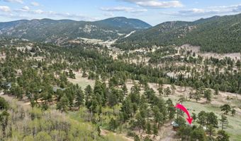 839 Ski Rd, Allenspark, CO 80510