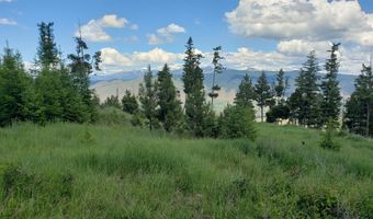 Lot 21 Arlee Pines, Arlee, MT 59821