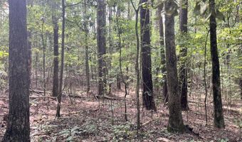 Brock Cir, Brandon, MS 39042