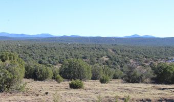 6 County Road 8052, Concho, AZ 85924