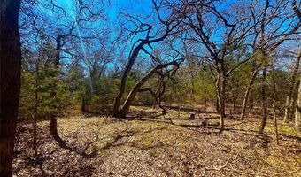 Tbd 13.7+/- Acres County Road 2560, Alvord, TX 76225