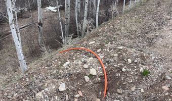 777 RICHARDSON CREEK Rd, Afton, WY 83110