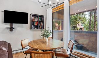 800 Columbine Rd 11, Breckenridge, CO 80424