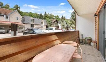 935 E Hopkins Ave 7, Aspen, CO 81611