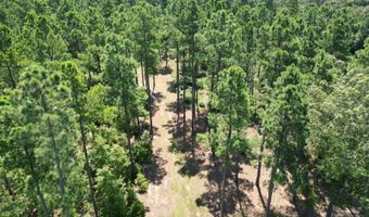 80 N4130 Rd, Antlers, OK 74523