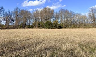 0001 CR-290, Asbury, MO 64832