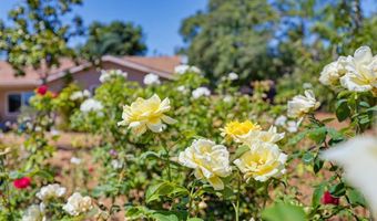 9744 Sierra Madre Rd, Spring Valley, CA 91977
