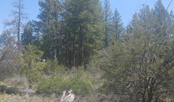 Toddy Drive Lots 18,19,&20, Beatty, OR 97621