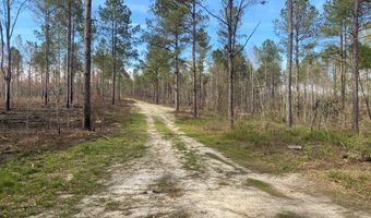 03 County Road 6650, Banks, AL 36005