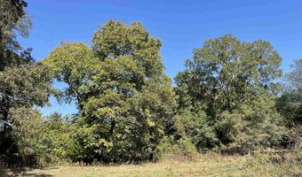 TBD Cr 3310, De Kalb, TX 75559