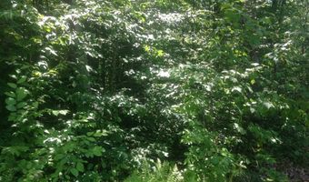 72-1 Frohock Brook Rd, Alton, NH 03810