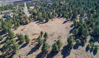 1518 Alba Vista Lot 1518 Alba Vis, Gardnerville, NV 89410
