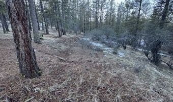 Bobcat Circle, Beatty, OR 97621