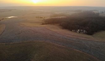 197 Th Trl, Albia, IA 52531