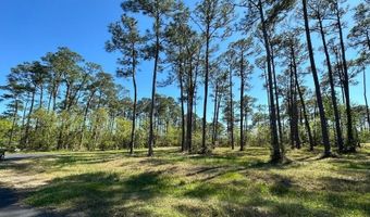 Hummingbird Lane lot 2, Biloxi, MS 39532