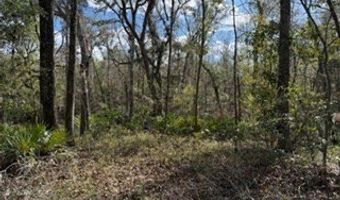 SW 22nd Pl, Bell, FL 32619