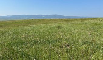UBET Road, Buffalo, MT 59418
