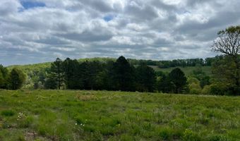 Co Rd 321 Route 5, Ava, MO 65608