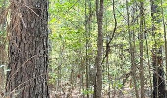 000 Highway 615 Hwy, Haynesville, LA 71038
