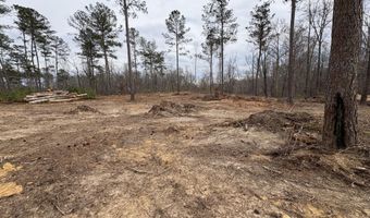 5672 White Oak Rd, Appling, GA 30802