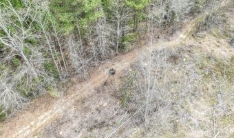 919 County Road 6628, Banks, AL 36005