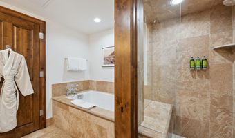 415 E Dean St # 47 Weeks 51/52, Aspen, CO 81611