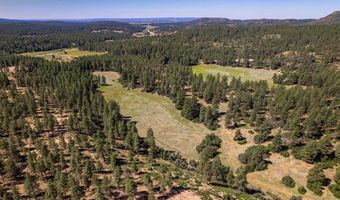 1005 46781 Beaver Creek Ranch Drive & US Highway 160, Bayfield, CO 81122