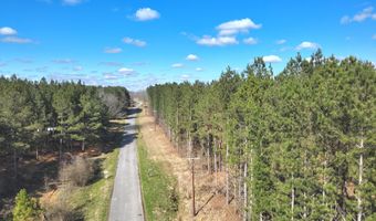 Smith County Road 99, Bay Springs, MS 39422