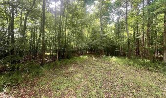930 ANNISTON BEACH Rd Lot 0, Anniston, AL 36206