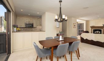 400 W Hopkins Ave 5, Aspen, CO 81611