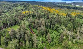 Ziak-Gnat Creek Ln, Astoria, OR 97103