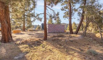 43942 Rainbow Ln, Angelus Oaks, CA 92305